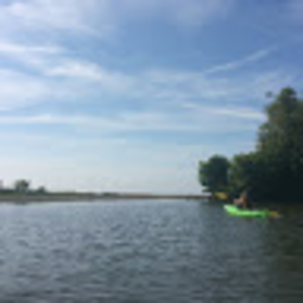 Meet your Posher, Carey